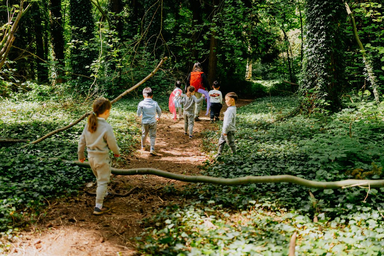 Nature School in the forest